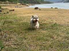 -金堂县云顶石城风景区