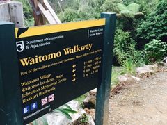 -怀托摩萤火虫洞