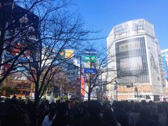 -涩谷区