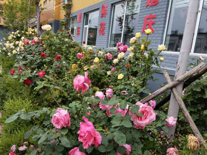 芙蓉小镇酒店(即墨店)-"大外甥满月酒,今个选的酒店真的太漂亮了,.