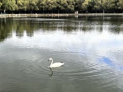 -长春世界雕塑园