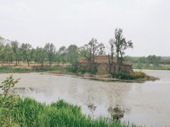 -东郊湿地公园