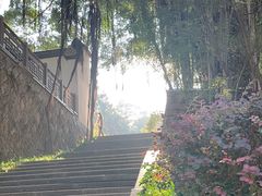 -乌山风景区