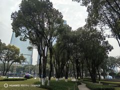 -重庆市江北嘴中央商务区中央公园