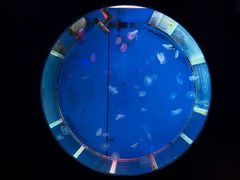 -顺德南宏海立方海洋公园