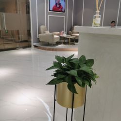 -MIVI半永久纹眉纹绣