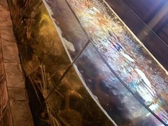 -蟹之国·精品蟹料理(极地店)