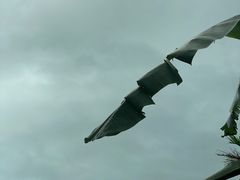 -海南热带雨林国家公园吊罗山景区