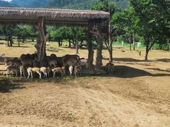 -西安秦岭野生动物园
