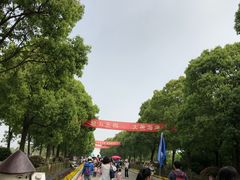 -上海都市菜园