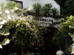 -自由生长植物工作室(深港花卉中心店)