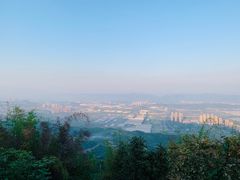 -铁山坪森林公园