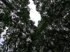 -同里国家湿地公园