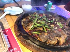 -老板恋上鱼(恒隆广场店)