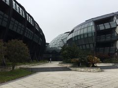 -上海滴水湖皇冠假日酒店