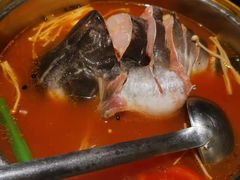 酸汤鱼-酸喜·三度酸·贵州味