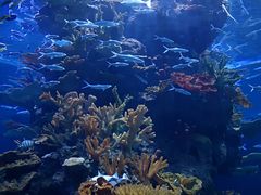 -多彩贵州城极地海洋世界