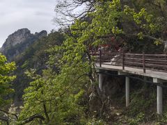 -老君山风景名胜区