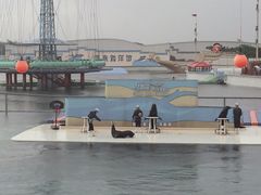 -秦皇岛乐岛海洋王国