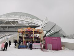 -沈阳奥体冰雪嘉年华