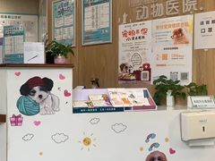 -谐和益家动物医院·免疫绝育·血液透析·宠保定点医院(高新伊藤分院)