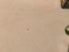 -渝信川菜(南滨店)