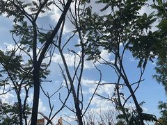 -北京欢乐谷