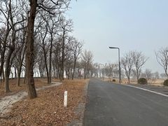 -洪泽湖古堰景区