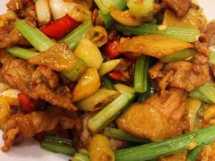 小炒黄牛肉-大鸭梨烤鸭店(花园村店)