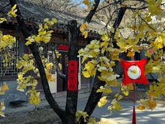 -潭柘寺景区