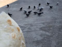 -胖东来生活广场(健康路店)
