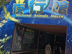 -广州长隆飞鸟乐园