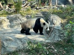 -武汉动物园