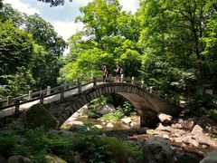 -三块石国家森林公园