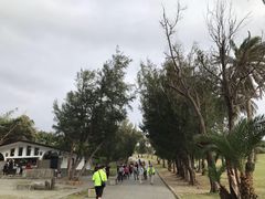 -鹅銮鼻公园