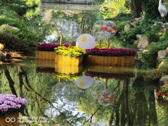 -上海共青森林公园