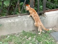 -中国电信(泰兴路店)