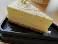 -瑞穗牧场