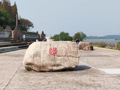 -上海滨江森林公园