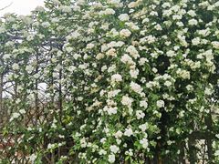 -中国天府农业博览园