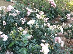 -人民公园(罗湖区)