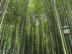 -竹泉村旅游度假区