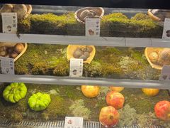 -滇野云南野生菌餐厅(陕西南路店)