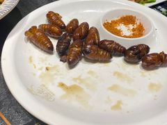 -杨记齐齐哈尔烤肉(五莲路店)