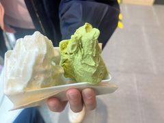 -野人先生现做冰淇淋(西安赛格店)