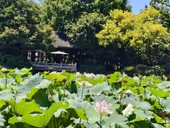 -杭州西子湖四季酒店·金沙厅