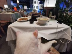 -桂满陇·杭州小馆(巴黎春天浦建店)