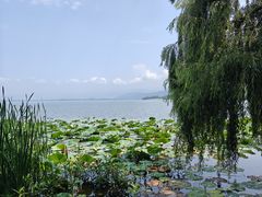 -西昌邛海湿地
