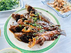 红烧昂刺鱼-洞天食府(北大街店)