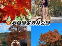 -广州市石门国家森林公园